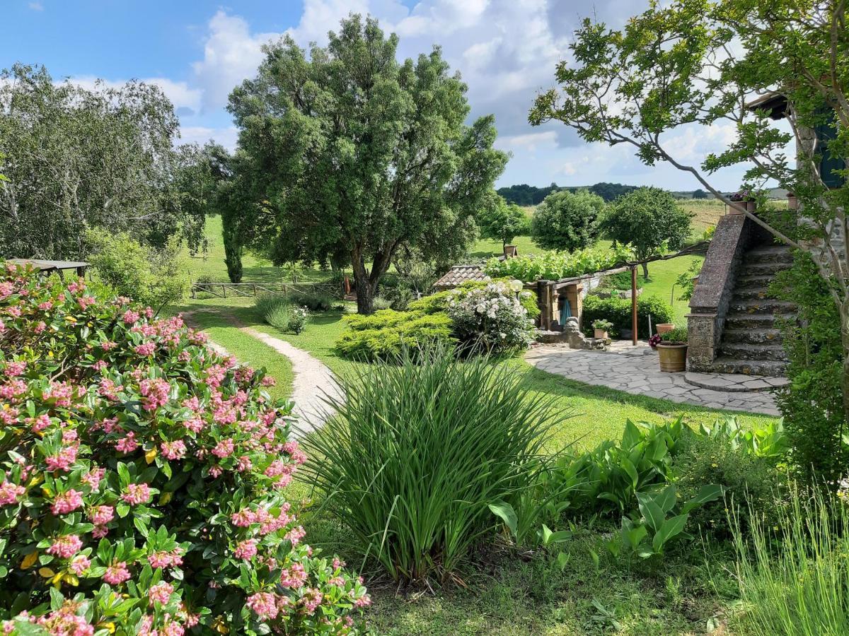 Agriturismo Cantinaccia Di Sopra Pitigliano Eksteriør billede