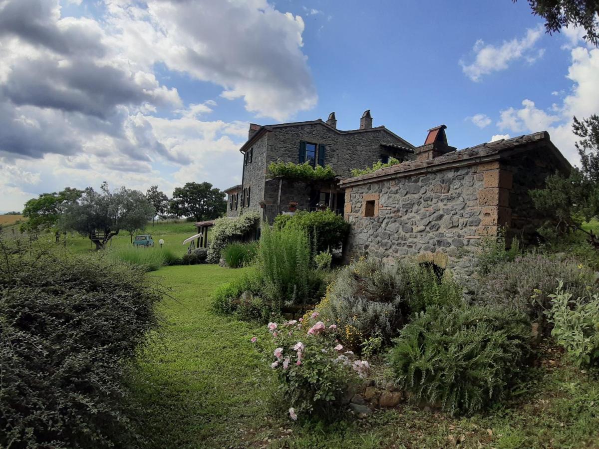 Agriturismo Cantinaccia Di Sopra Pitigliano Eksteriør billede