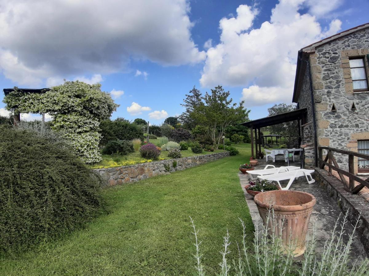 Agriturismo Cantinaccia Di Sopra Pitigliano Eksteriør billede