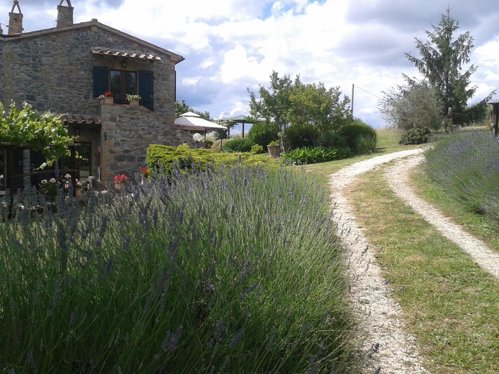 Agriturismo Cantinaccia Di Sopra Pitigliano Eksteriør billede