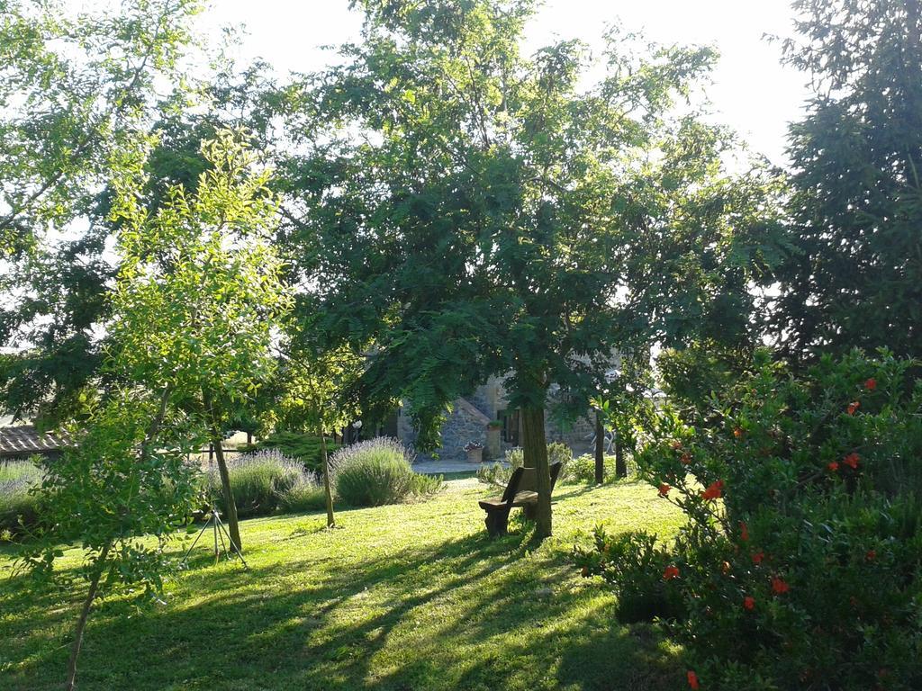 Agriturismo Cantinaccia Di Sopra Pitigliano Eksteriør billede