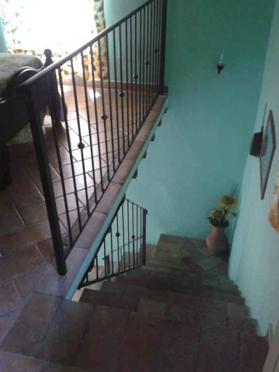 Agriturismo Cantinaccia Di Sopra Pitigliano Eksteriør billede